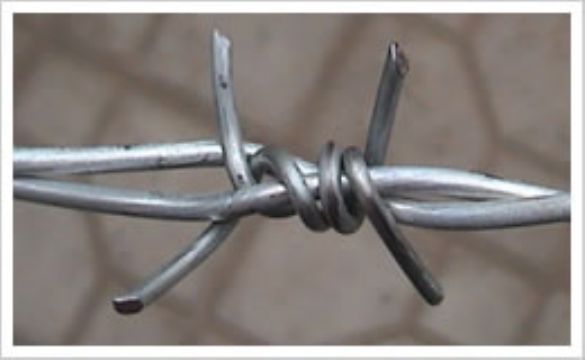 Barbed Wire